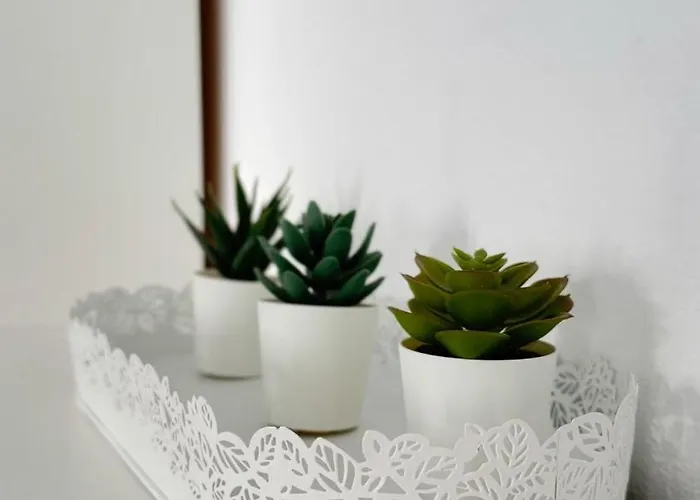 Lava Family Apartamento